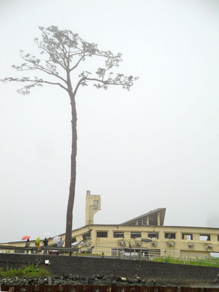 m1.jpg