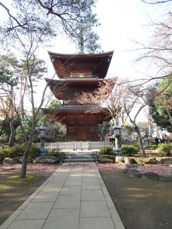 goutokuji1.jpg