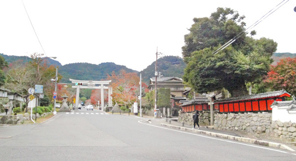kunin-04sai.jpg